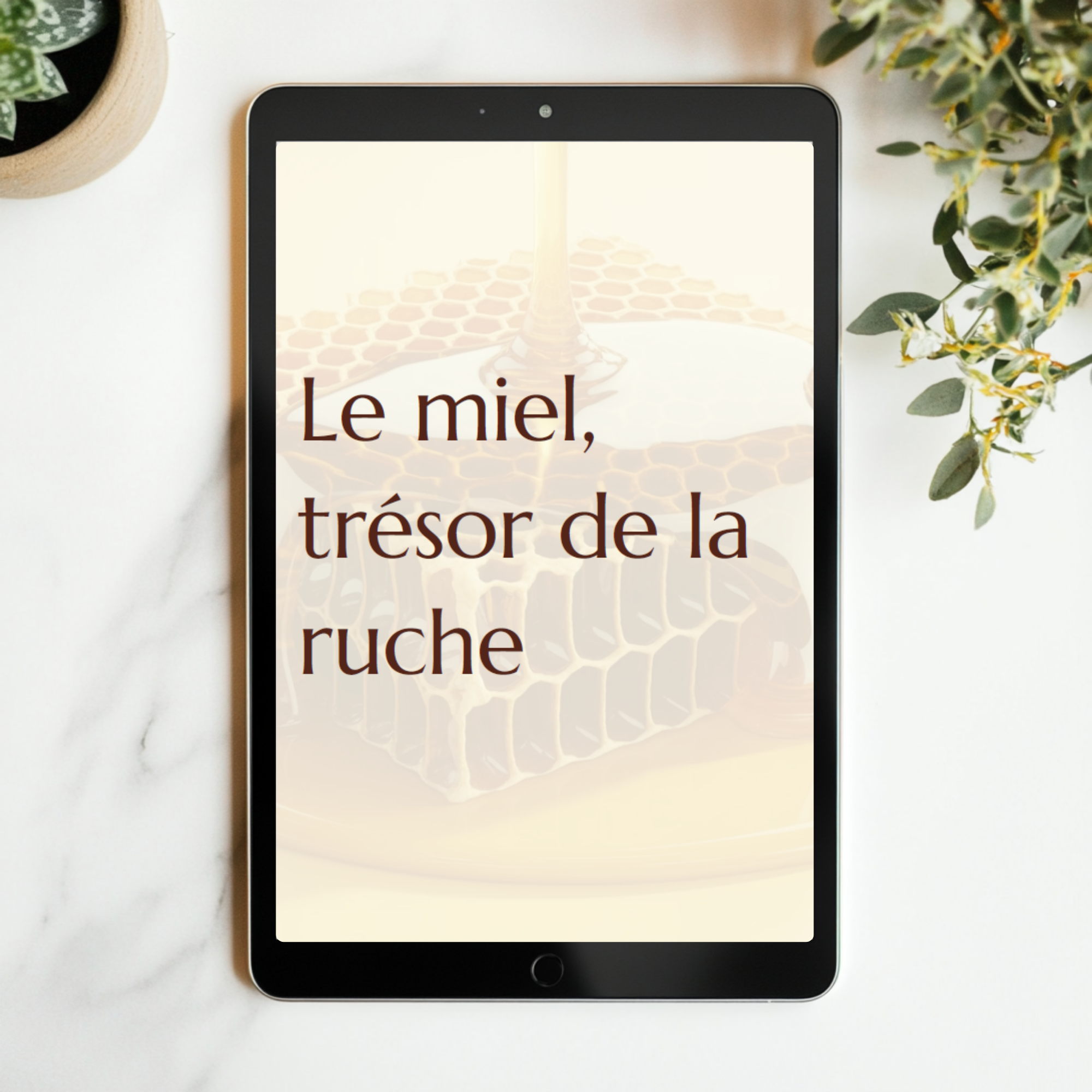 guide de la propolis